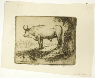 The White Ox