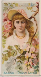 Acacia: Chaste Love, from the series Floral Beauties and Language of Flowers N75 for Duk..., 1892