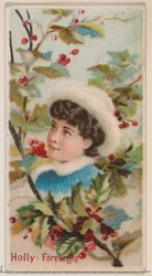 Holly: Foresight, from the series Floral Beauties and Language of Flowers N75 for Duke