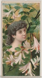 Honeysuckle: Fidelity, from the series Floral Beauties and Language of Flowers