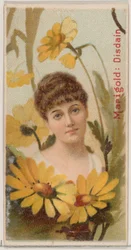 Marigold: Disdain, from the series Floral Beauties and Language of Flowers N75 for Duke