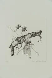 Smith and Wesson Magazine Pistol