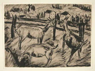 Goats and Landscape