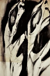 Abstract Organic Forms