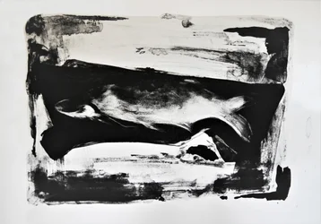 Fluid Black Shape