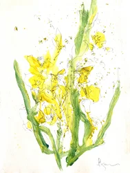Bright Yellow Blooms