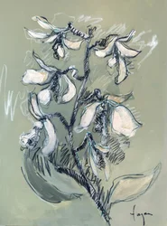 White Floral Sketch