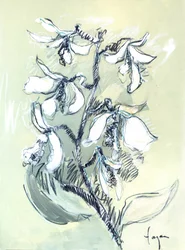 White Floral Sketch