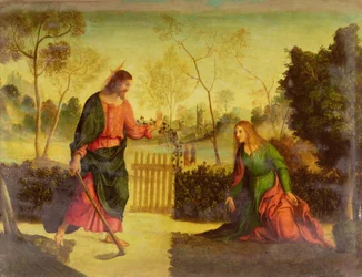 Unknown Image