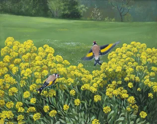Goldfinches