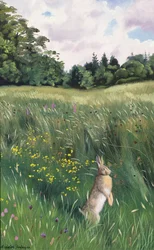 Hare in a Meadow