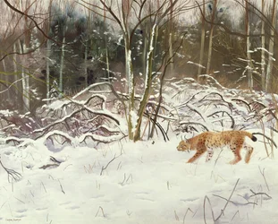 Lynx and Hare