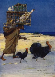 The Bird Fancier, Carthage, Tunisia