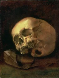 A Skull