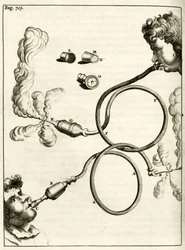 Apparatus for tobacco smoke enemas, from Exercitationes Practicae circa Medendi Methodum by Frederik Dekkers, 1694