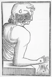 Illustration of the workings and effect of the pineal gland on the human nervous system in relation to a reaction to fire, from Tractatus de Homine, published in Amsterdam by Elsevier, 1677