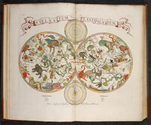 A Planisphere with Signs of Zodiac