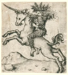 Wildman on a Unicorn