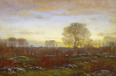Twilight