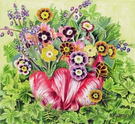 Auriculas, 2000