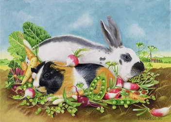 Rabbit and Guinea Pig, 1998