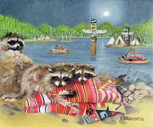 Racoons, 2000