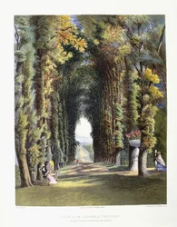 Vista in the Gardens of Teddesley, Seat of the Right Honorable Lord Hatherton