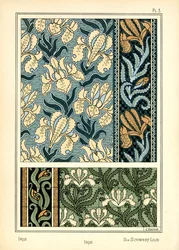 The Iris