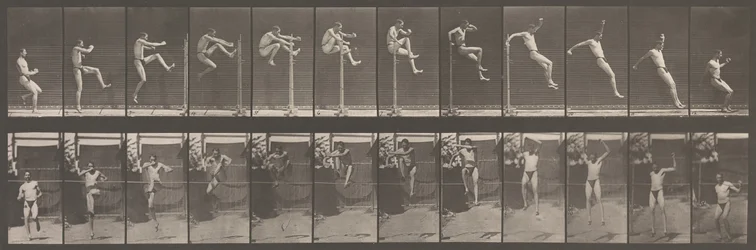 Animal Locomotion. An Electro-Photographic Investigation of Consecutive Phases of Animal