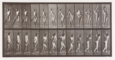 Animal Locomotion. An Electro-Photographic Investigation of Consecutive Phases of Animal, 1880s