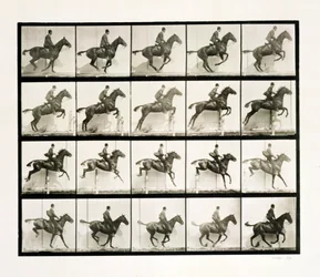 Man and Horse Jumping a Fence