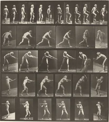 Plate Number 521. A: Walking. B: Ascending Step. C. Throwing Disk. D: Using Shovel