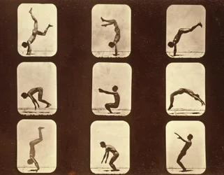 Athletes. Flip flap 