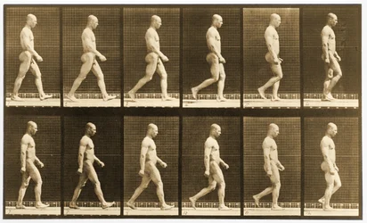 Image sequence of a nude man walking, 