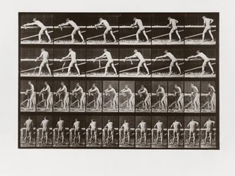 Man planing wood, Plate 379 from Animal Locomotion