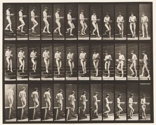 Plate 144. Descending Stairs, Turning Basin in Hands