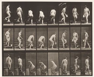 Descending Stairs; Stooping, Lifting Pitcher, Turning