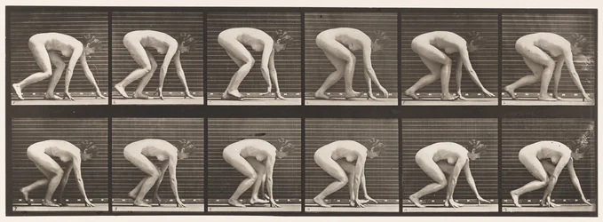 Plate 183. Walking on Hands and Feet