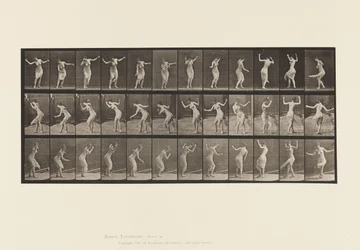 Plate 191. Dancing (fancy)
