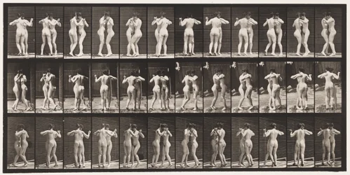Plate 196. Dancing Waltz, Two Models