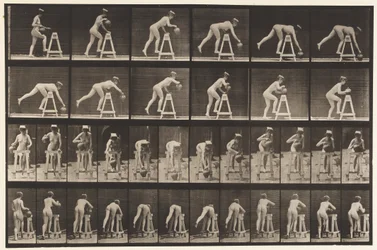 Plate 203. Bending Over a Trestle with Water Jar