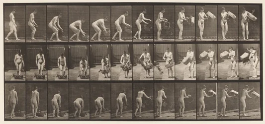 Plate 213. Lifting and Emptying Basket