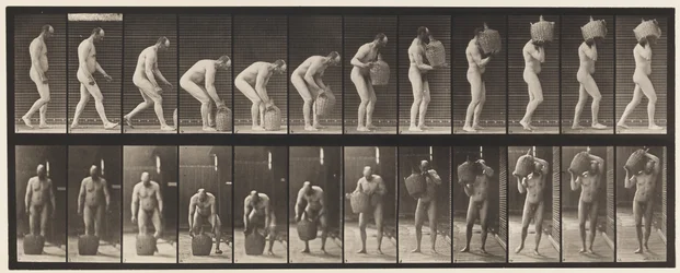 Plate 218. Stooping, and Lifting Full Demijohn to Shoulder