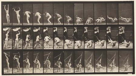 Plate 262. Getting out of Hammock