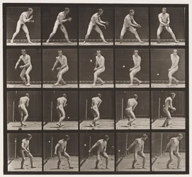 Plate 288. Baseball; Error
