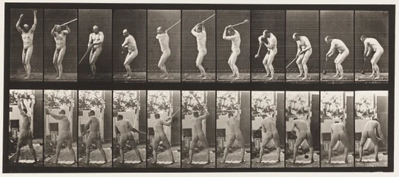 Plate 308. Throwing the Hammer