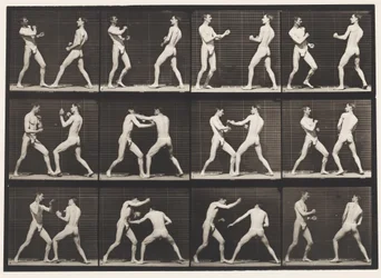 Boxing; Open Hand (Shoes)