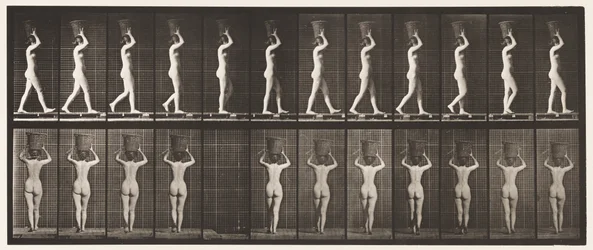 Plate 34. Walking