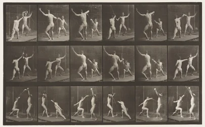 Plate 350. Fencing