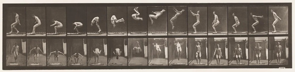 Plate 362. Back Somersault